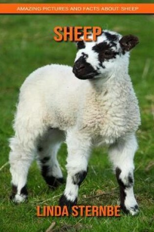 Cover of Sheep