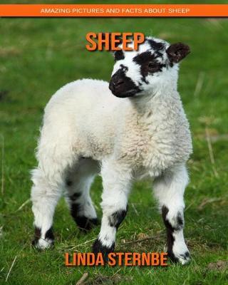 Book cover for Sheep