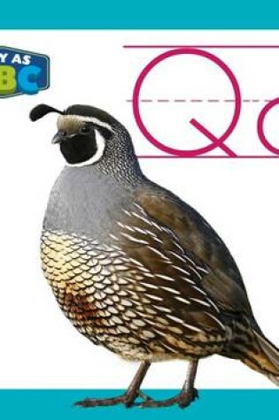 Cover of Qq