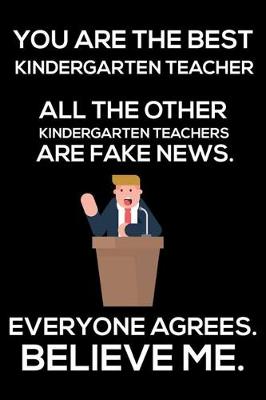 Book cover for You Are The Best Kindergarten Teacher All The Other Kindergarten Teachers Are Fake News. Everyone Agrees. Believe Me.