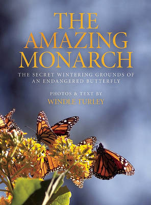 Book cover for The Amazing Monarch