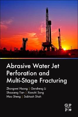 Book cover for Abrasive Water Jet Perforation and Multi-Stage Fracturing