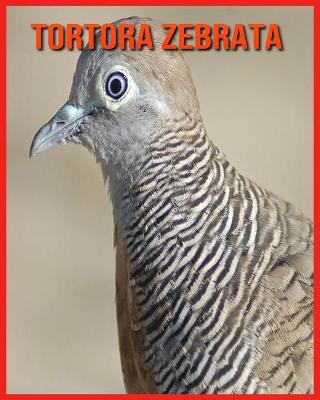 Book cover for Tortora Zebrata