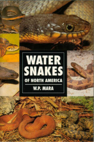 Cover of Water Snakes of North America