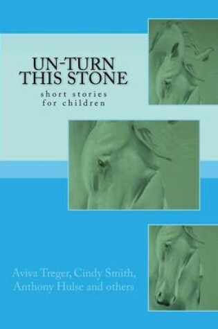 Cover of Un-Turn This Stone