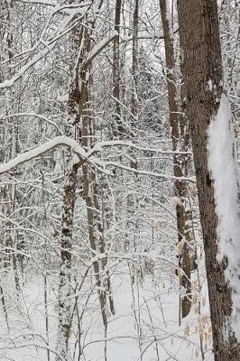 Book cover for Winter Journal Scenic Photo