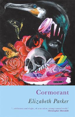 Book cover for Cormorant