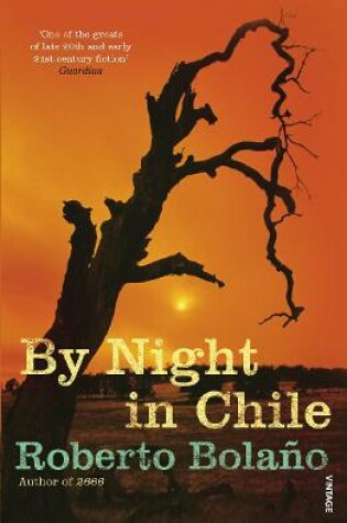 Cover of By Night in Chile