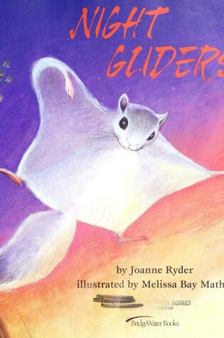 Cover of Night Gliders
