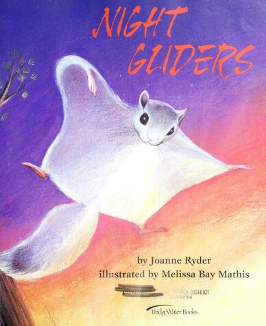 Book cover for Night Gliders