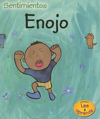 Book cover for Enojo