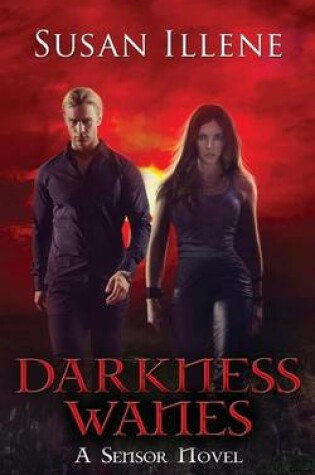 Cover of Darkness Wanes
