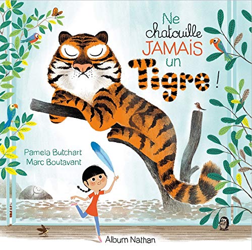 Book cover for Ne chatouille jamais un tigre!