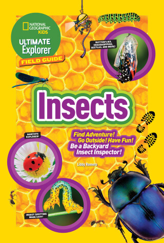 Book cover for Ultimate Explorer Field Guide: Insects