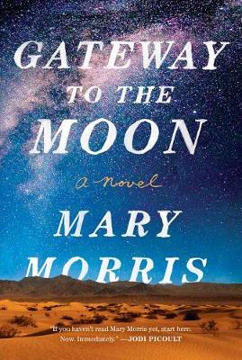 Book cover for Gateway to the Moon