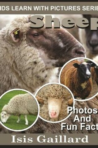 Cover of Sheep