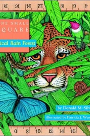 Cover of Tropical Rain Forest