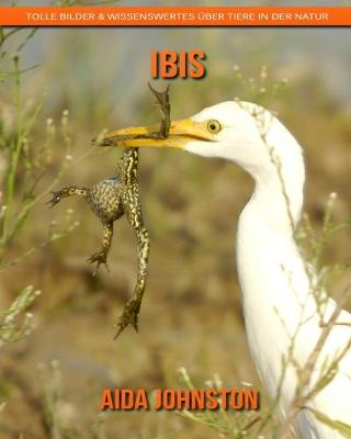 Book cover for Ibis