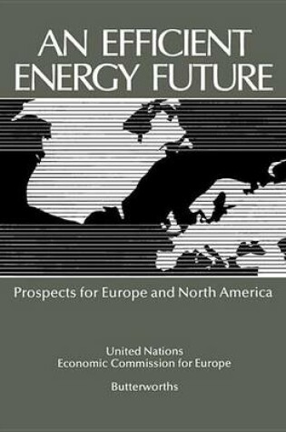 Cover of Efficient Energy Future