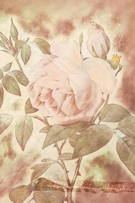 Book cover for Rosa Indica Fragrans