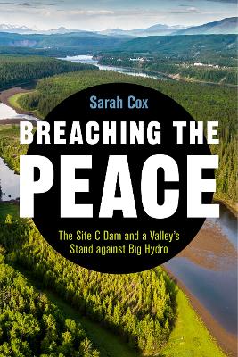 Book cover for Breaching the Peace