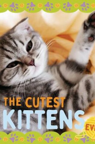 Cover of The Cutest Kittens