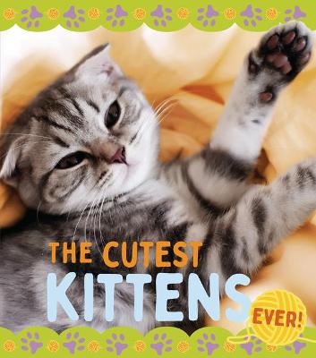 Book cover for The Cutest Kittens