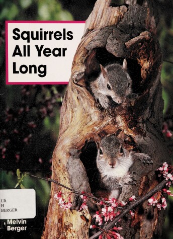 Book cover for Squirrels All Year Long