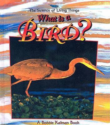 Cover of What Is a Bird?
