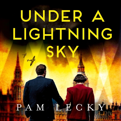 Book cover for Under a Lightning Sky