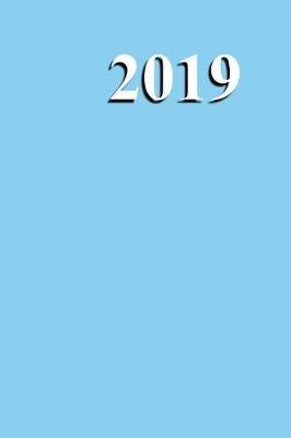 Book cover for 2019 Daily Planner Baby Blue Color Simple Plain Baby Blue 384 Pages