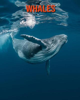 Book cover for Whales