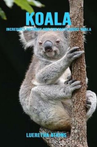 Cover of Koala