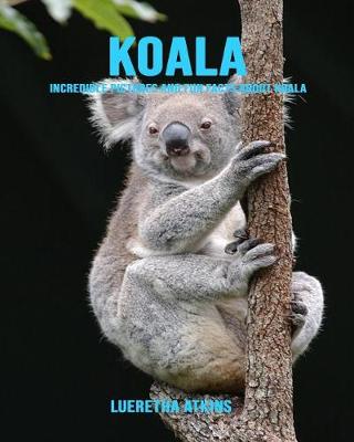 Book cover for Koala