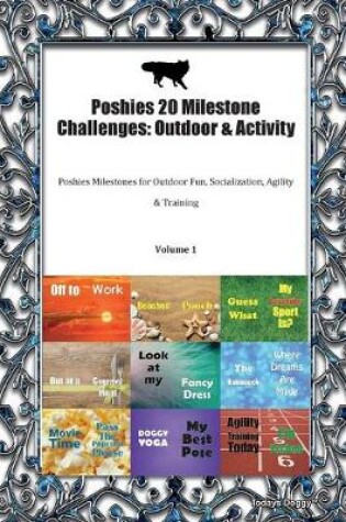 Cover of Poshies 20 Milestone Challenges