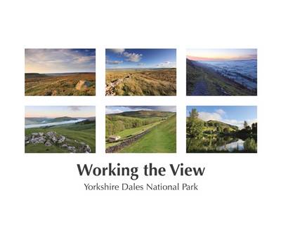 Book cover for Working the View