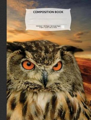 Book cover for Wise Owl Sunset Composition Notebook, 4x4 Quad Rule Graph Paper