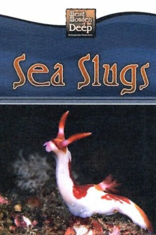 Cover of Sea Slugs