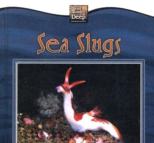 Cover of Sea Slugs