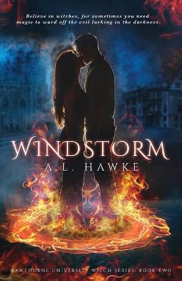 Book cover for Windstorm