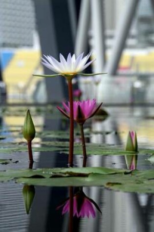 Cover of Water Lily Flower Journal