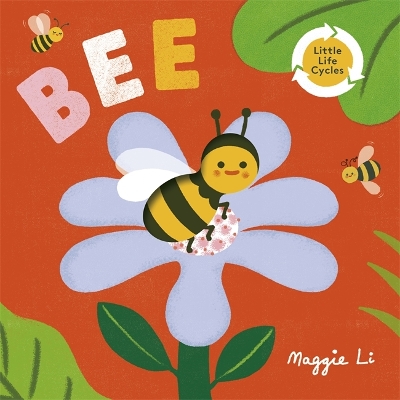 Book cover for Little Life Cycles: Bee