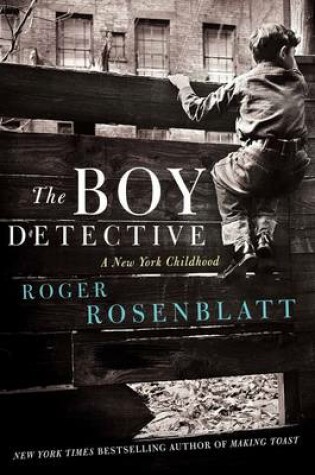 Cover of The Boy Detective