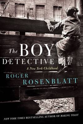 Book cover for The Boy Detective