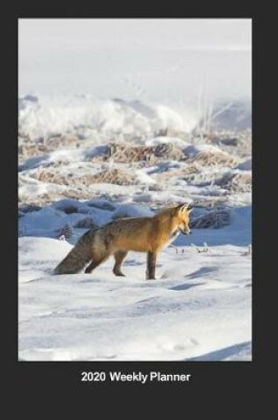 Cover of Plan On It 2020 Weekly Calendar Planner - Fox In The Winter Snow