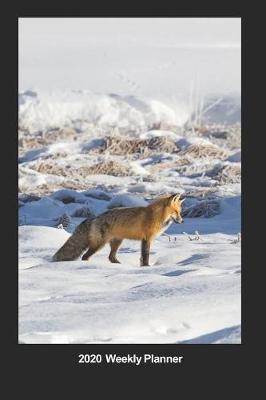 Book cover for Plan On It 2020 Weekly Calendar Planner - Fox In The Winter Snow