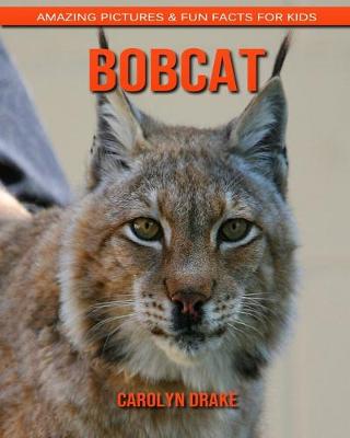 Book cover for Bobcat