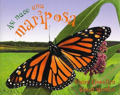 Book cover for Asi Nace una Mariposa