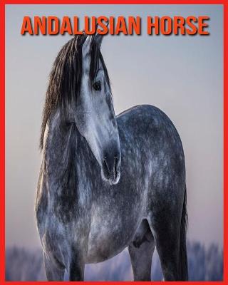 Book cover for Andalusian Horse