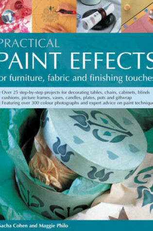 Cover of Practical Paint Effects for Furniture, Fabric and Finishing Touches